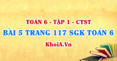Bài 5 trang 117 SGK Toán 6 Tập 1 Chân trời sáng tạo